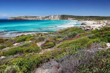 Bild-Nr: 11902128 Pennington Bay auf Kangaroo Island Erstellt von: DirkR