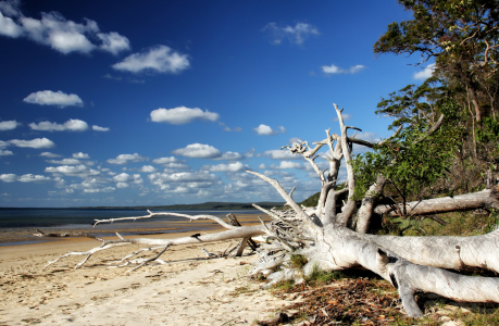 Bild-Nr: 11902131 Fraser Island Erstellt von: DirkR