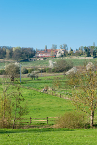 Bild-Nr: 11902663 Schloss Westerhaus 78 Erstellt von: Erhard Hess