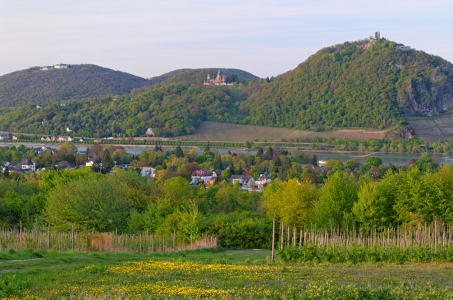 Bild-Nr: 11903339 Frühling Rhein Siebengebirge Erstellt von: Rolf Eschbach