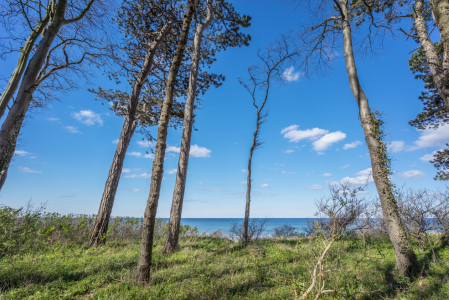 Bild-Nr: 11903365 Steilküste Erstellt von: FotoDeHRO