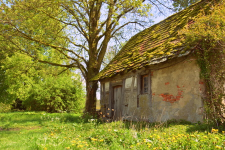 Bild-Nr: 11903884 Das alte Haus Erstellt von: GUGIGEI