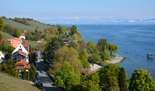 Bild-Nr: 11903932 Bodensee - Alpenblick Erstellt von: GUGIGEI