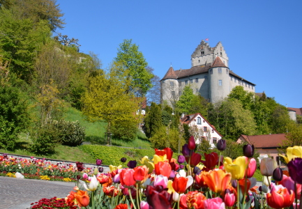 Bild-Nr: 11904104 Meersburg Erstellt von: GUGIGEI