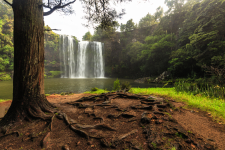 Bild-Nr: 11904186 Whangarei Falls Erstellt von: TomKli