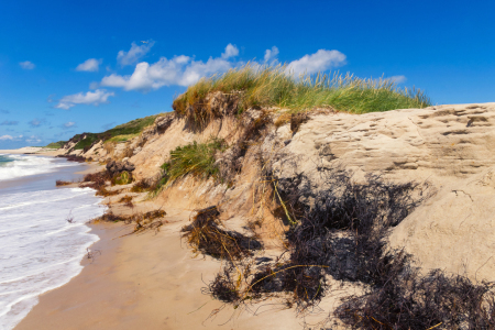 Bild-Nr: 11904271 Südspitze Insel Sylt Erstellt von: Angela  Dölling