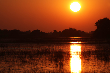 Bild-Nr: 11905459 Sonnenaufgang im Okavango Delta Erstellt von: DirkR