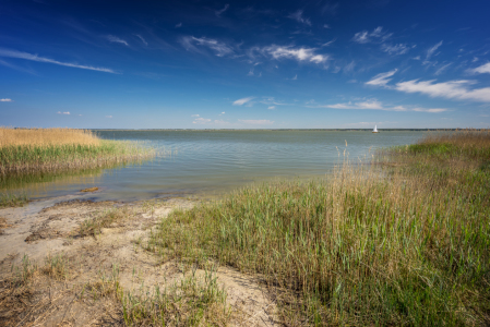 Bild-Nr: 11909244 Bodstedter Bodden Erstellt von: FotoDeHRO