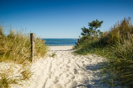 Bild-Nr: 11911150 Sommerfrische an der Ostsee Erstellt von: Ursula Reins