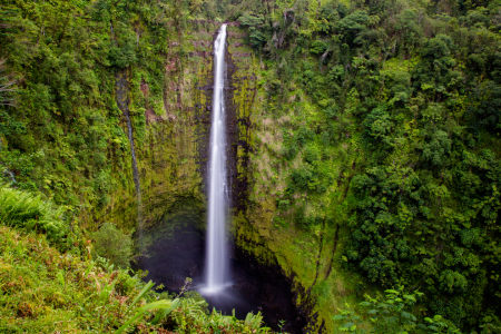 Bild-Nr: 11913670 Akaka Falls auf Hawaii Erstellt von: DirkR