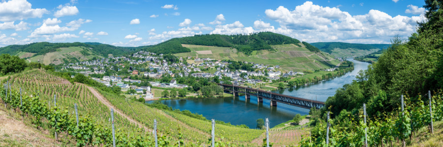 Bild-Nr: 11913688 Mosel bei Bullay -13- Erstellt von: Erhard Hess