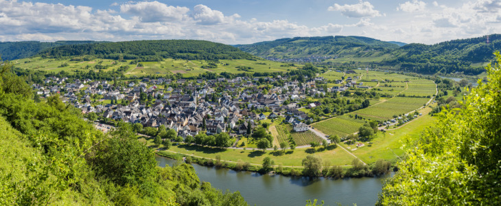 Bild-Nr: 11913690 Mosel bei Pünderich -3- Erstellt von: Erhard Hess