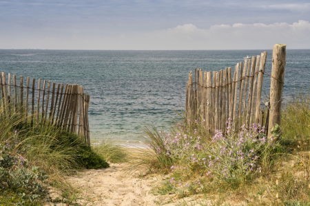 Bild-Nr: 11913778 Der Weg zum Meer Erstellt von: agilekna