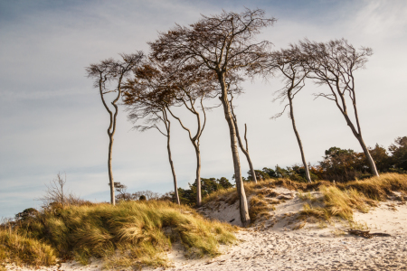 Bild-Nr: 11914362 Stille genießen  - Herbsttag am Weststrand Erstellt von: Ursula Reins