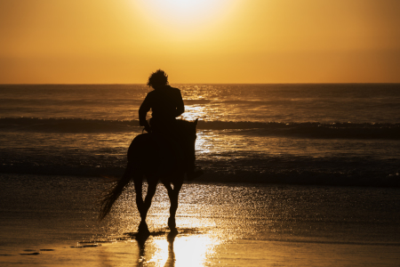 Bild-Nr: 11914560 Reiter am Strand während Sonnenuntergang. Erstellt von: sarosa