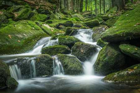 Bild-Nr: 11914807 Grüner Wasserfall im Nationalpark  Erstellt von: luxpediation