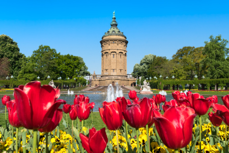 Bild-Nr: 11915078 Mannheim Wasserturm im Frühling Erstellt von: eyetronic