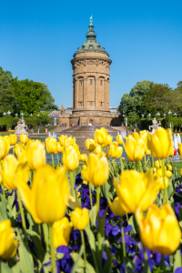 Bild-Nr: 11915442 Wasserturm in Mannheim Erstellt von: eyetronic