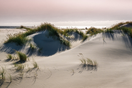 Bild-Nr: 11915593 Twilight - Amrum am Abend Erstellt von: Reiner Würz