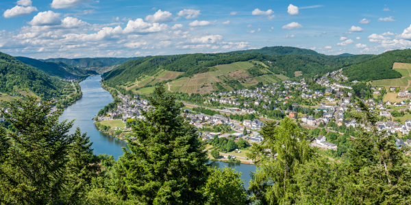 Bild-Nr: 11916138 Mosel bei Bullay -72- Erstellt von: Erhard Hess