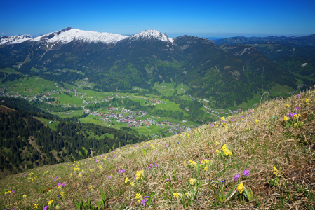 Bild-Nr: 11916330 Allgäuer Blumenberg Erstellt von: SusaZoom