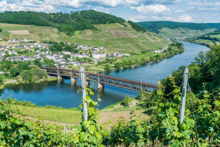 Bild-Nr: 11916805 Mosel bei Bullay 84 Erstellt von: Erhard Hess