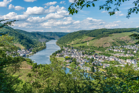 Bild-Nr: 11917052 Mosel bei Bullay 39 Erstellt von: Erhard Hess