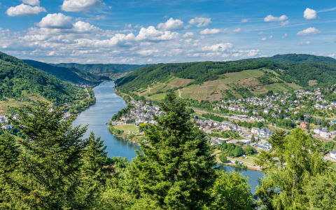 Bild-Nr: 11917287 Mosel bei Bullay 13 Erstellt von: Erhard Hess