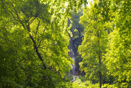 Bild-Nr: 11917403 Uracher Wasserfall Erstellt von: Walter G. Allgöwer