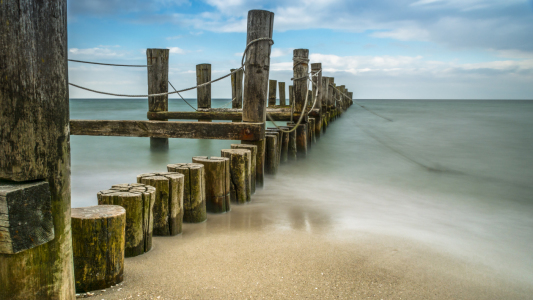 Bild-Nr: 11917816 Zingst im Darß Nationalpark Erstellt von: luxpediation