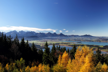 Bild-Nr: 11917988 Forggensee im Herbst Erstellt von: DirkR