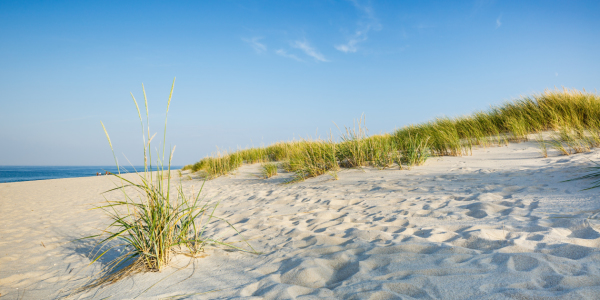 Bild-Nr: 11919528 Strandtag auf der Insel Sylt Erstellt von: Ursula Reins