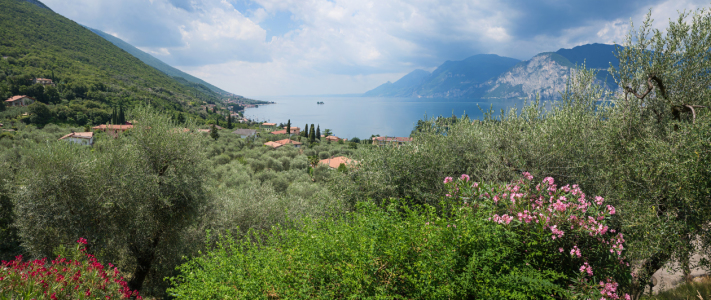 Bild-Nr: 11922727 Val di Sogno Erstellt von: SusaZoom