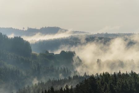 Bild-Nr: 11923022 Morgennebel 3 Erstellt von: KundenNr-333026