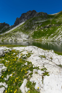 Bild-Nr: 11924770 Laufbichelsee Erstellt von: Walter G. Allgöwer