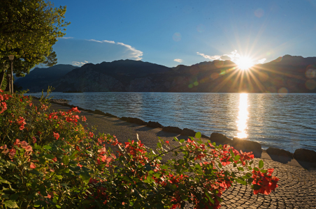 Bild-Nr: 11925346 Sommerabend am Lago Erstellt von: SusaZoom