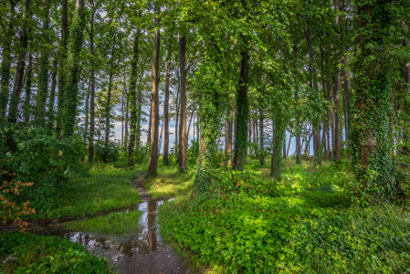 Bild-Nr: 11926131 Nach dem Regen Erstellt von: FotoDeHRO