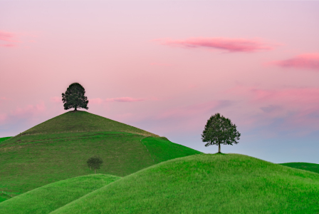 Bild-Nr: 11926279 Drei Brüder Erstellt von: Achim Thomae