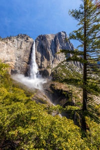 Bild-Nr: 11926292 Upper Yosemite Falls Erstellt von: TomKli