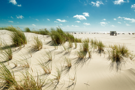 Bild-Nr: 11928590 Amrum Erstellt von: Reiner Würz