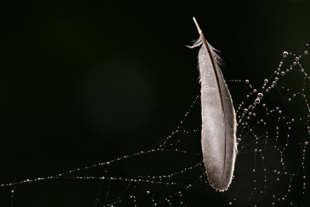 Bild-Nr: 11928637 Nach dem Regen Erstellt von: Heike Hultsch