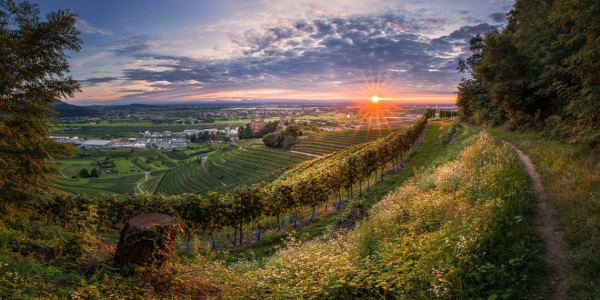 Bild-Nr: 11929228 Sonnenuntergang über dem Ortenberger Schloss Erstellt von: Marcel Heinzmann