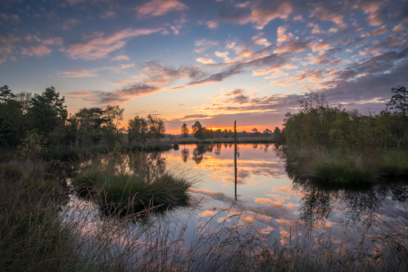 Bild-Nr: 11930424 Sonnenaufgang im Pietzmoor Erstellt von: Steffen Henze