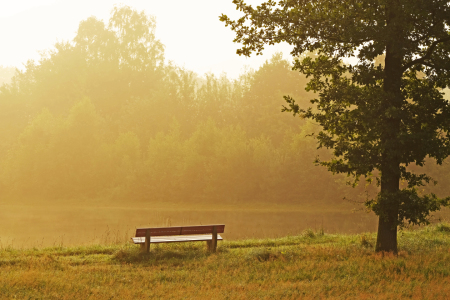 Bild-Nr: 11932388 Herbstmorgen Erstellt von: Ostfriese