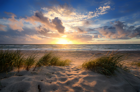 Bild-Nr: 11932743 Ostsee Weststrand Erstellt von: Steffen Gierok