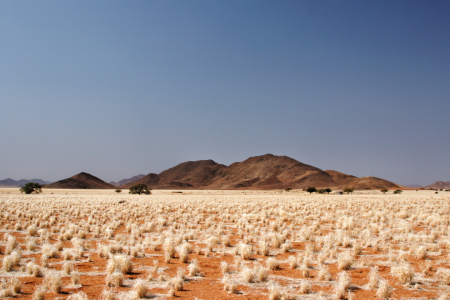 Bild-Nr: 11932882 Wüstenlandschaft in Namibia Erstellt von: DirkR