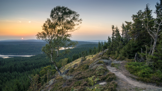 Bild-Nr: 11932939 Blick zum Eckerstausee Erstellt von: Steffen Henze