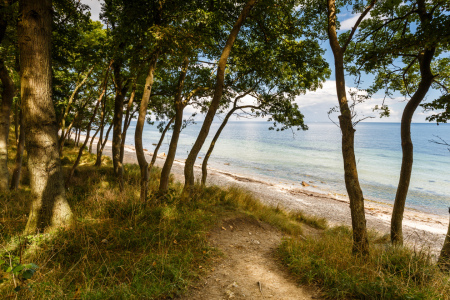 Bild-Nr: 11934258 Ostsee - Stämme Erstellt von: Ursula Reins