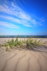 Bild-Nr: 11935936 Sandwellen im Mai Erstellt von: Ostseestrand