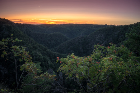 Bild-Nr: 11936573 Abendstunde am Bodetal Erstellt von: Steffen Henze